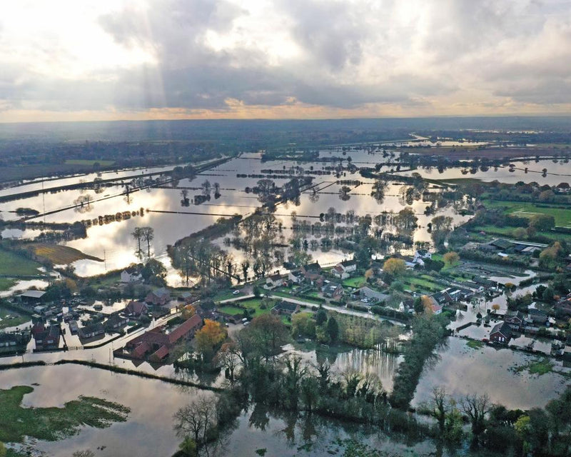 Stern Review at 20: Climate Crisis Economics and Urgent Action