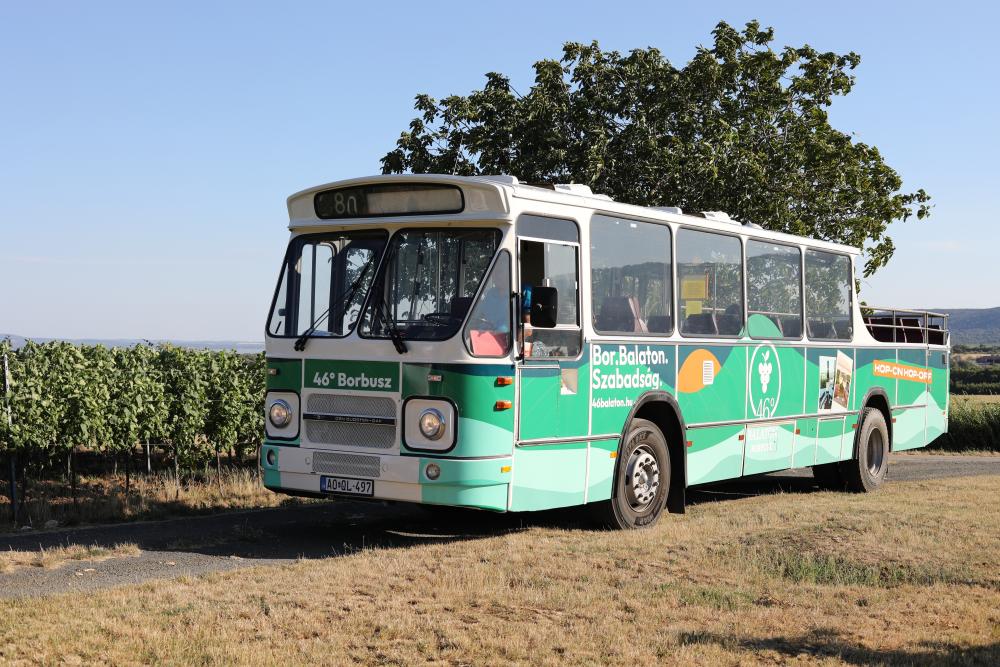 Discover Hungary’s Secret Vineyards on a Vintage Bus Tour