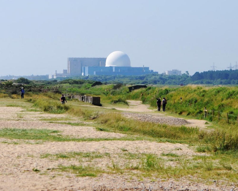 Green Party Drops Nuclear Power Opposition in Energy Policy Shift