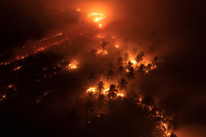 Indonesia Fire Haze: Devastating Toll on Millions Exposed