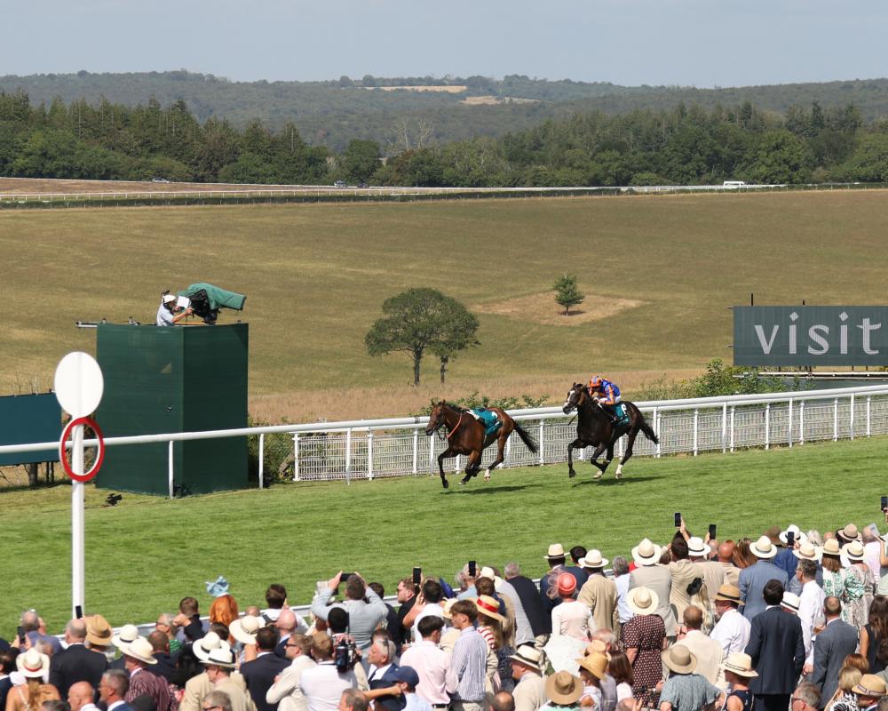 Moore's Scandinavia Wins Goodwood Cup Amid Loose Horse Chaos