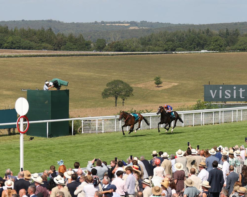 Moore's Scandinavia Wins Goodwood Cup Amid Loose Horse Chaos