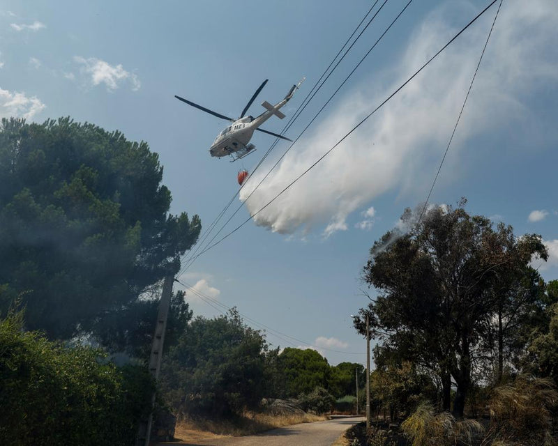 Spanish Wildfire Evacuees Describe Their Harrowing Escape