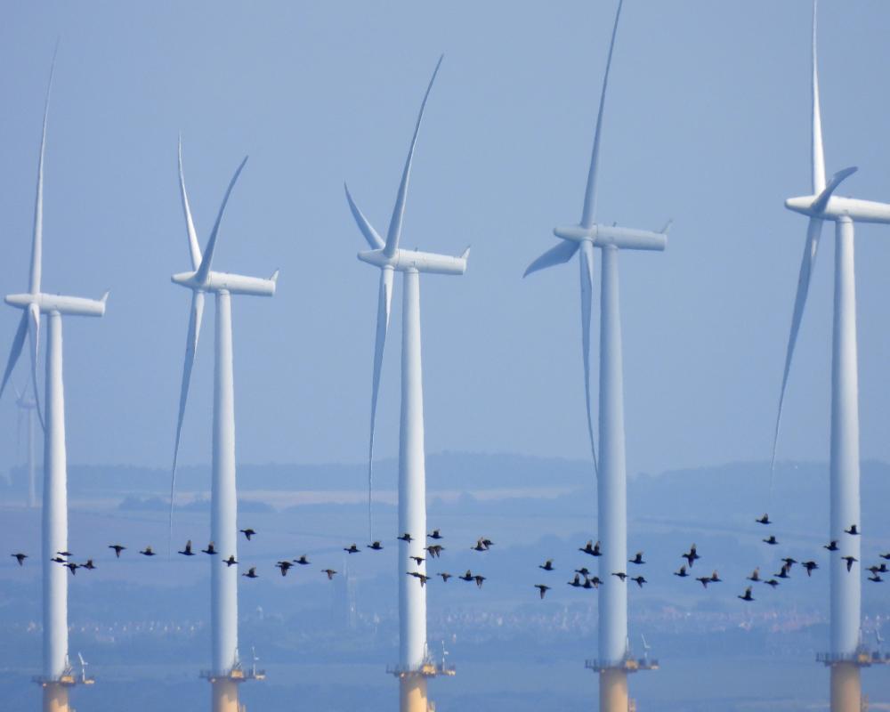 Labour's Energy Fix: £100 Rebate Won't Offset Soaring Bills