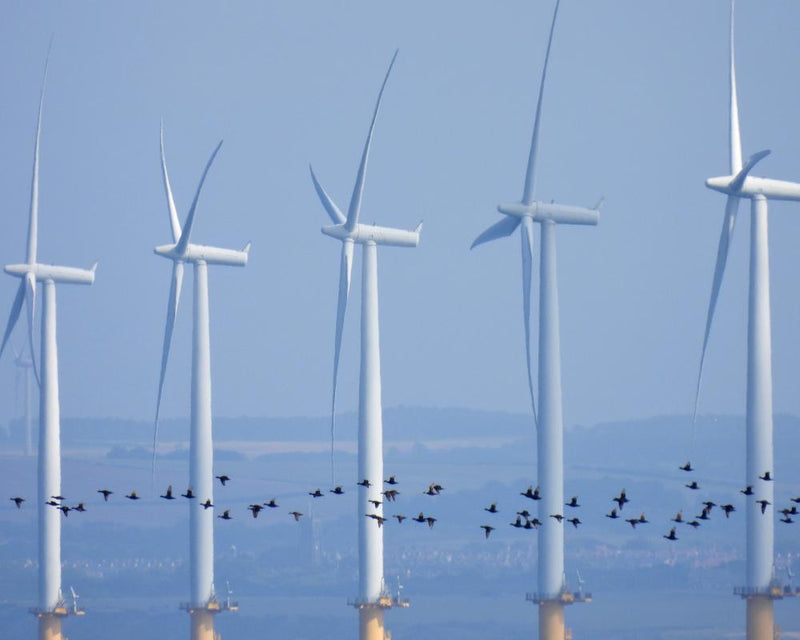 Labour's Energy Fix: £100 Rebate Won't Offset Soaring Bills