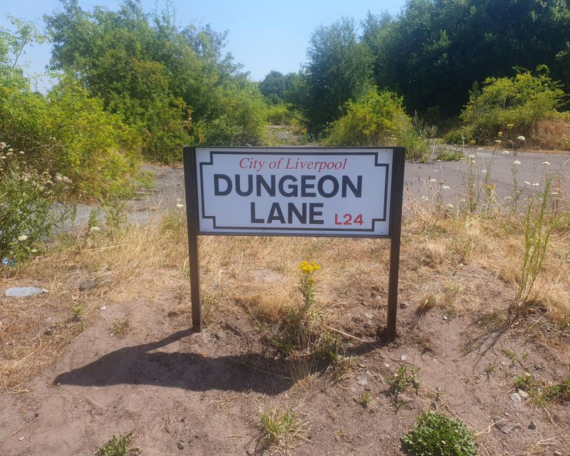 Dungeon Lane Beatles Nostalgia Meets Coastal Birdwatching