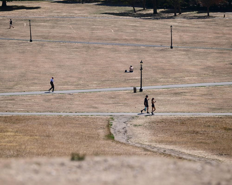 Extreme Heatwave Hits UK and Greece: Wildfires Force Evacuations