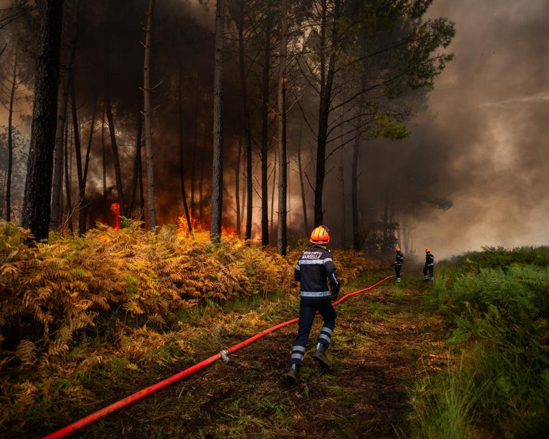Climate Crisis Supercharges Europe's Wildfire Weather