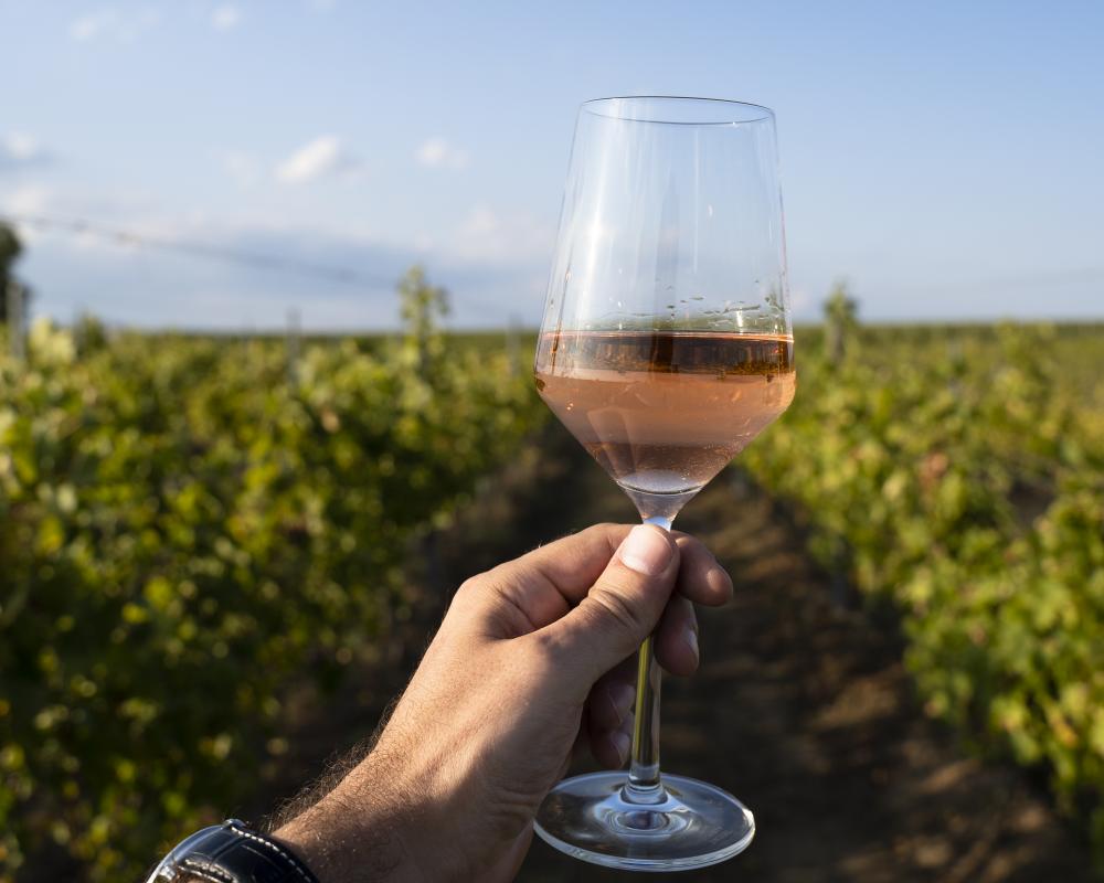 When it comes to rosé, pink doesn’t have to mean Provence