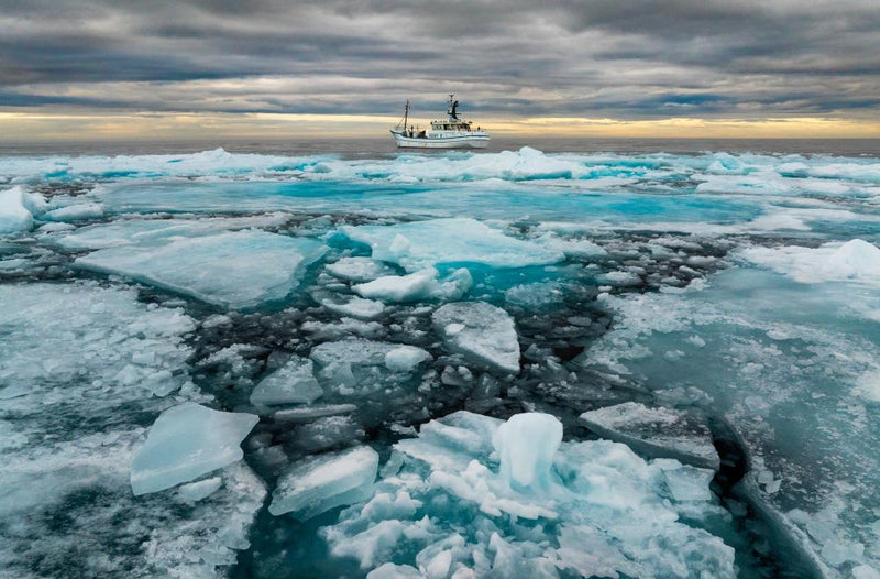 Arctic Report Card Loses Trump Administration Support