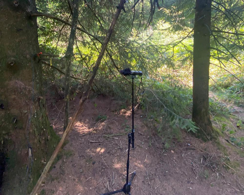 Max Porter's Lanny: Can This Mythic Tale Be Heard in the Woods