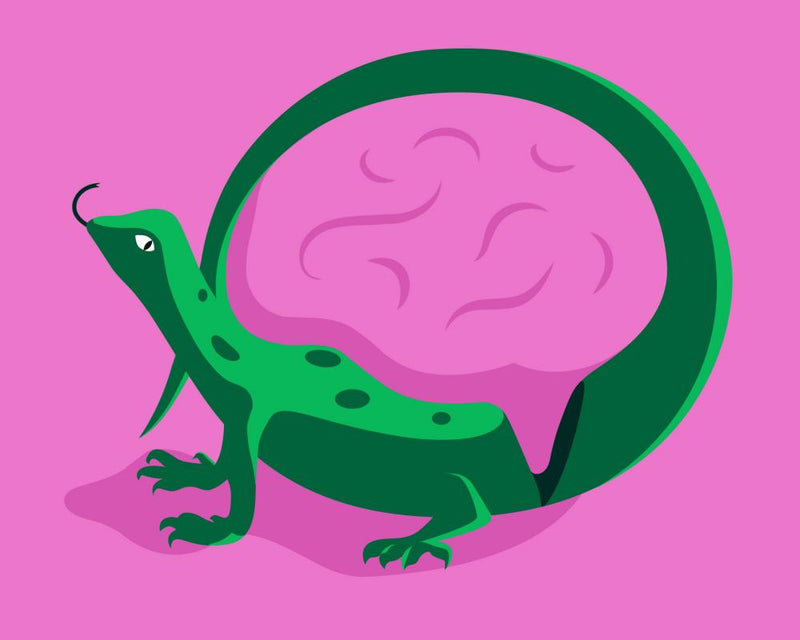 Lizard Brain Theory: Do Humans Really Have a Reptilian Mind