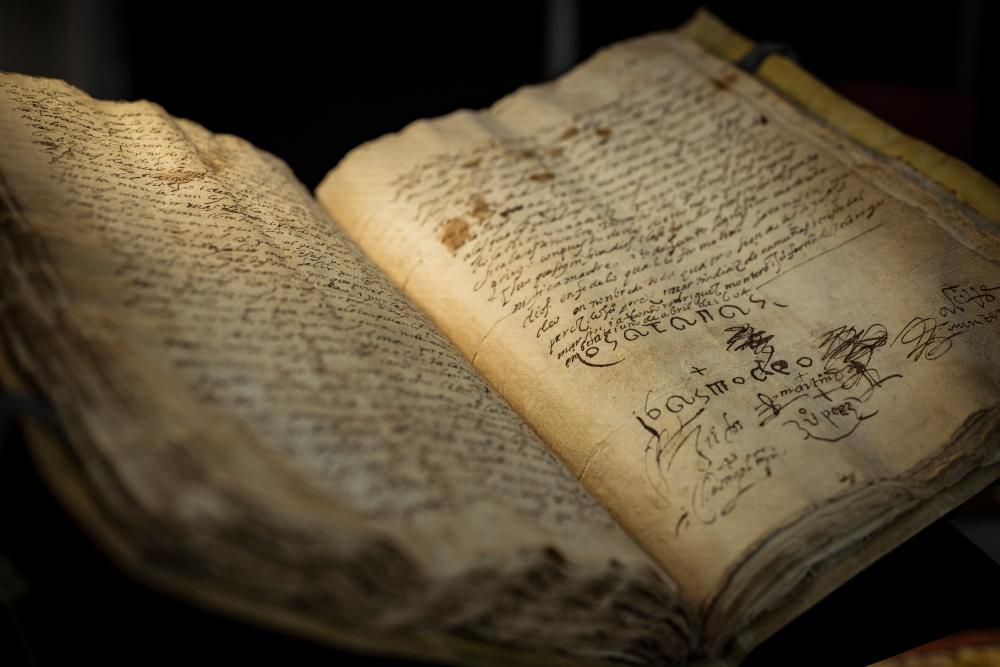 AI Book Destruction Threatens Rare Titles: Australian Sellers