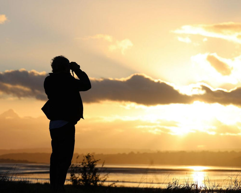 Slimbridge Birdwatching Trip With a Stranger: A Magical Day