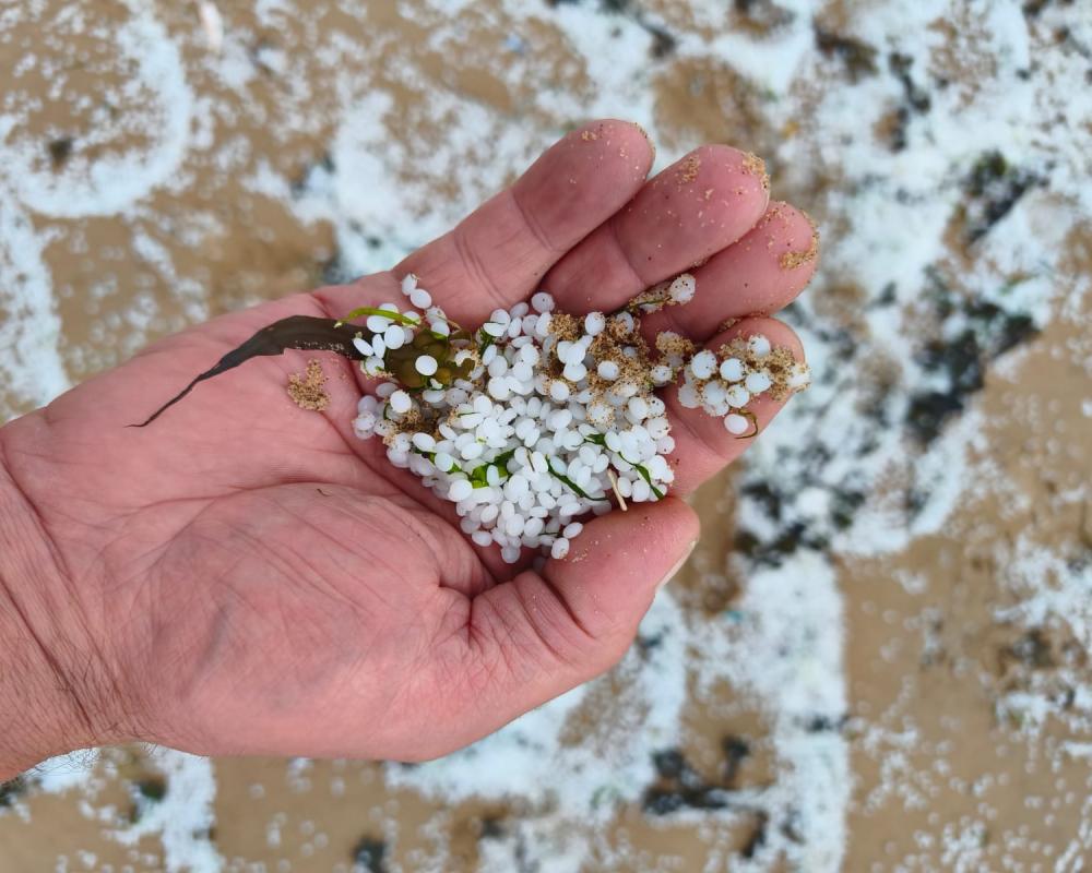 Nurdle Hunt: Plastic Pellet Pollution on UK Beaches