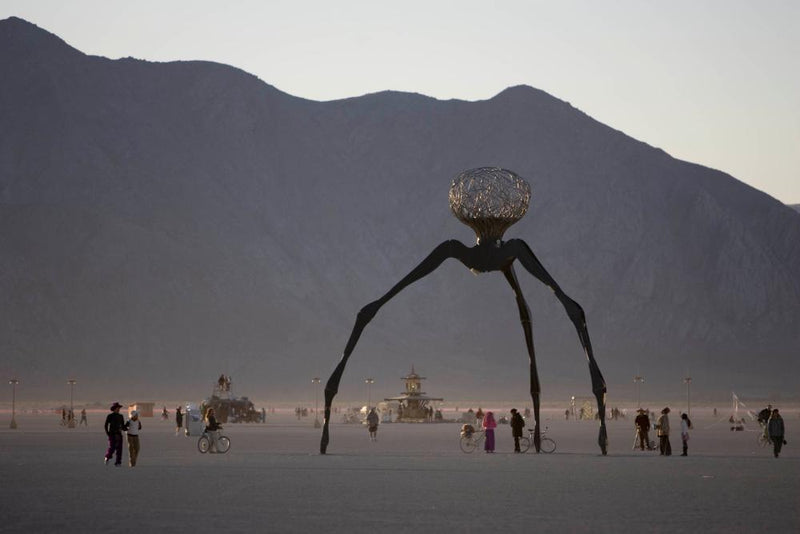 Burning Man at 40 Faces a Midlife Crisis as Younger Burners Dwindle
