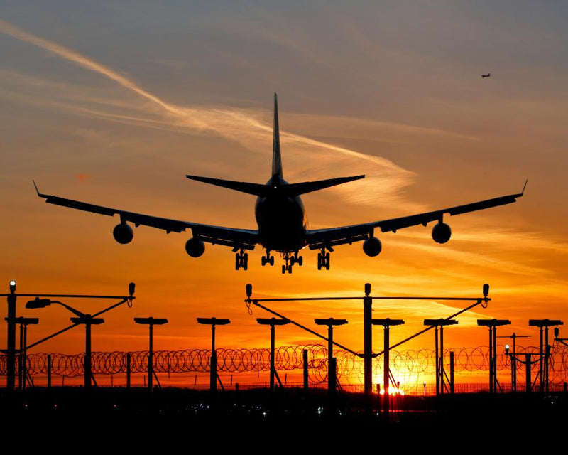 Why Peanuts Should Be Banned on Flights for Allergy Safety