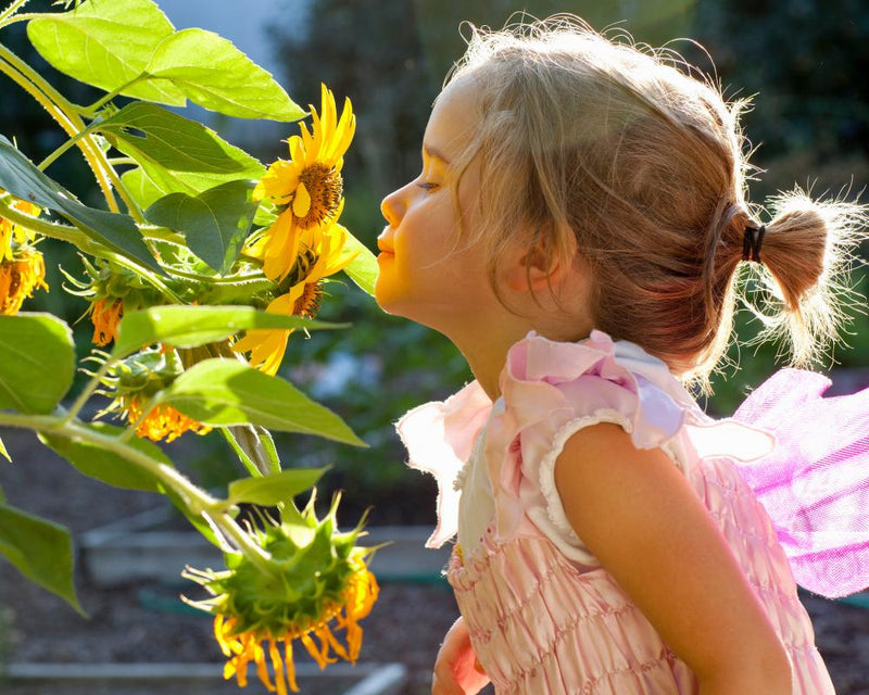 Smelling Test: Children Need Education in Sniffing Aromas
