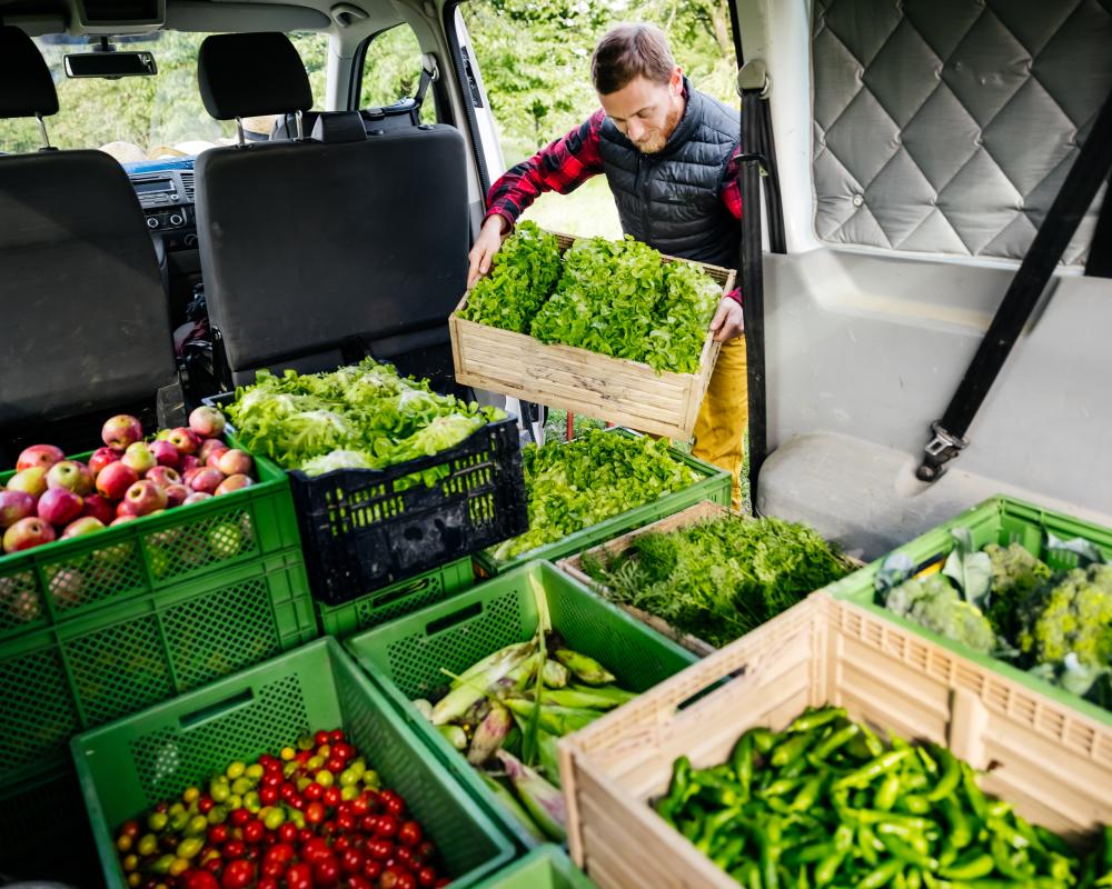 Local Food vs Food Miles: Is Local Better for Environment