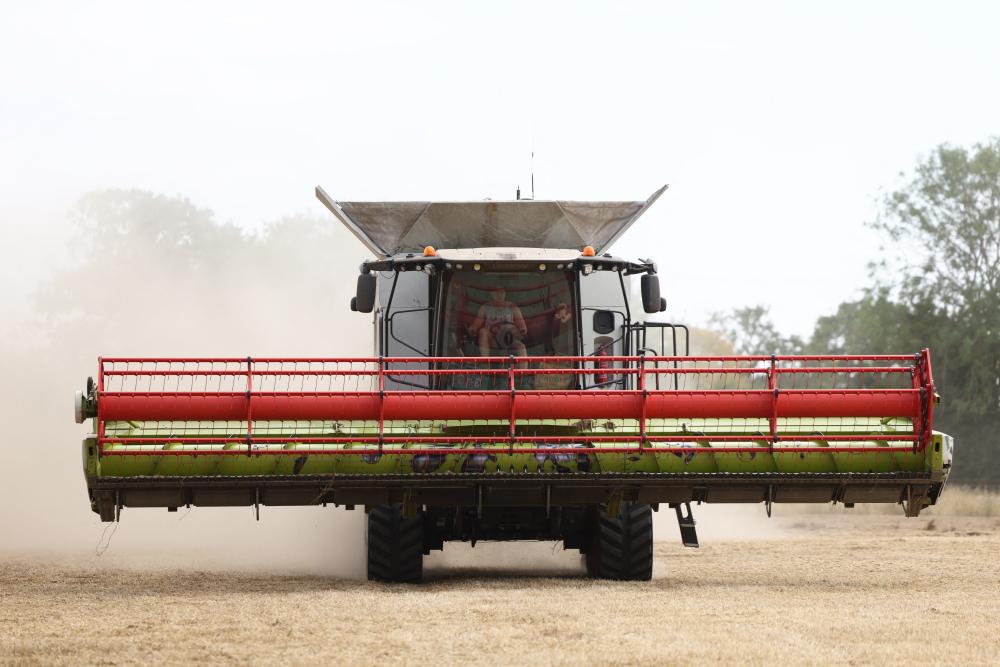Food Security Crisis: Building Community Resilience for the Future