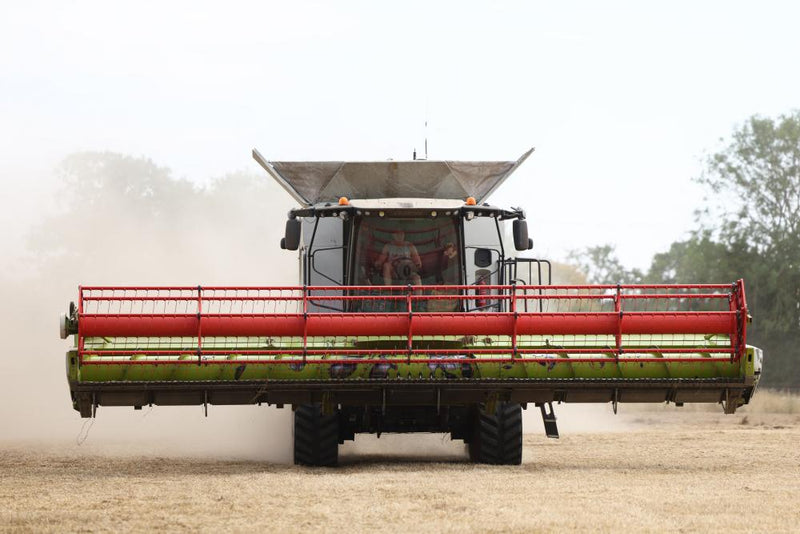 Food Security Crisis: Building Community Resilience for the Future