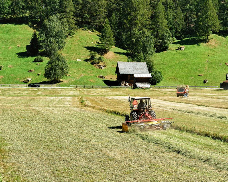 Microplastics in Soil: A Trojan Horse Threat to Global Food Security
