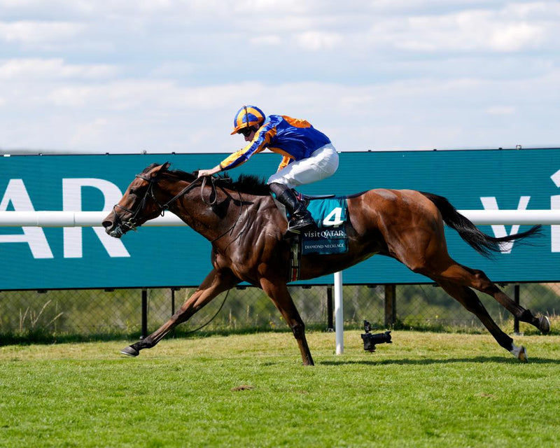 Diamond Necklace Arc Odds Soar After Nassau Stakes Win