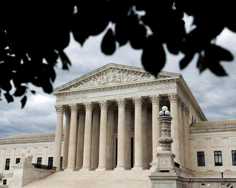 Surrogate Mother Appeals Custody Case to Supreme Court