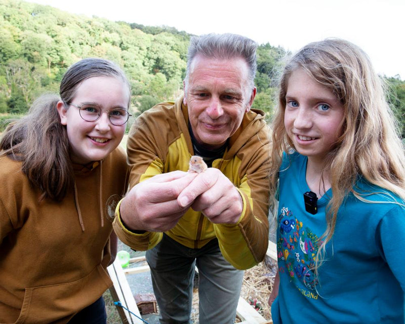 Kids in Devon Invited to Rear Harvest Mice for Wild Release