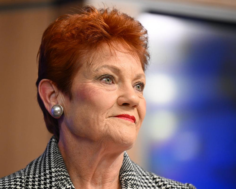 One Nation Faces Struck Off in Queensland Over Missing Audited
