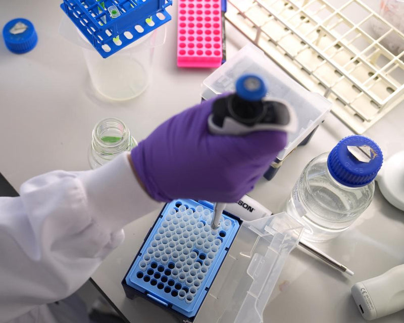 Under-50s Cancer Rise: Confronting Obesity Risks Now