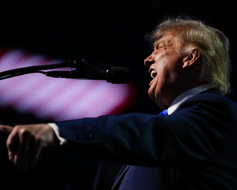 Trump's Midterm Strategy: Rally Politics and Economic Impact