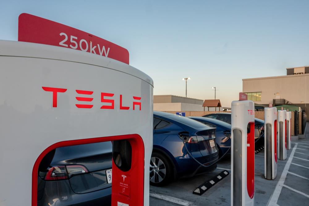 Tesla Stock Suffers Double-Digit Drop on Worst Day in Years
