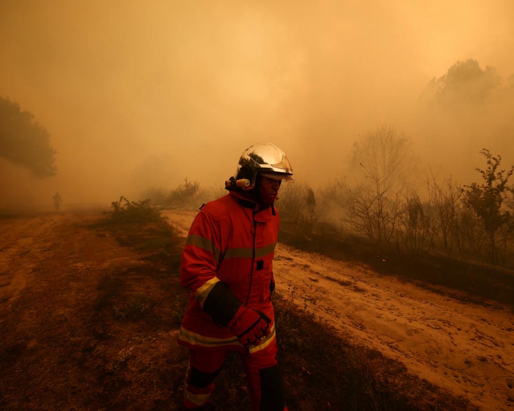 Europe Wildfires: Why They're So Fierce and Hard to Stop