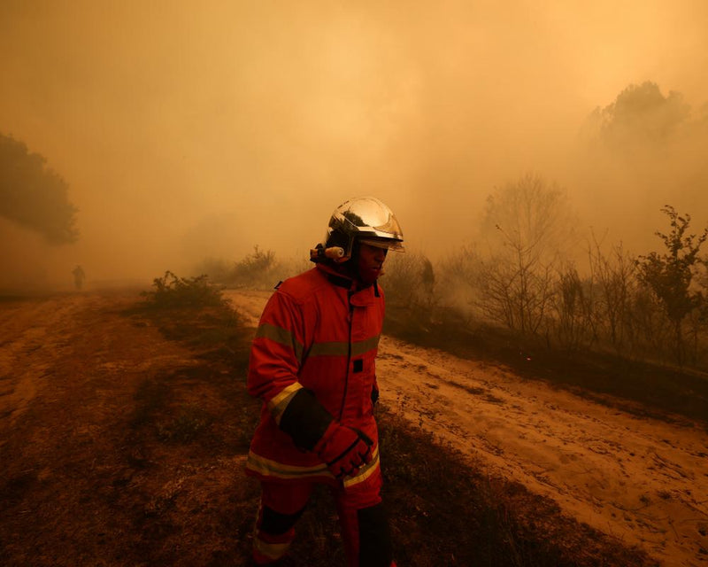 Europe Wildfires: Why They're So Fierce and Hard to Stop