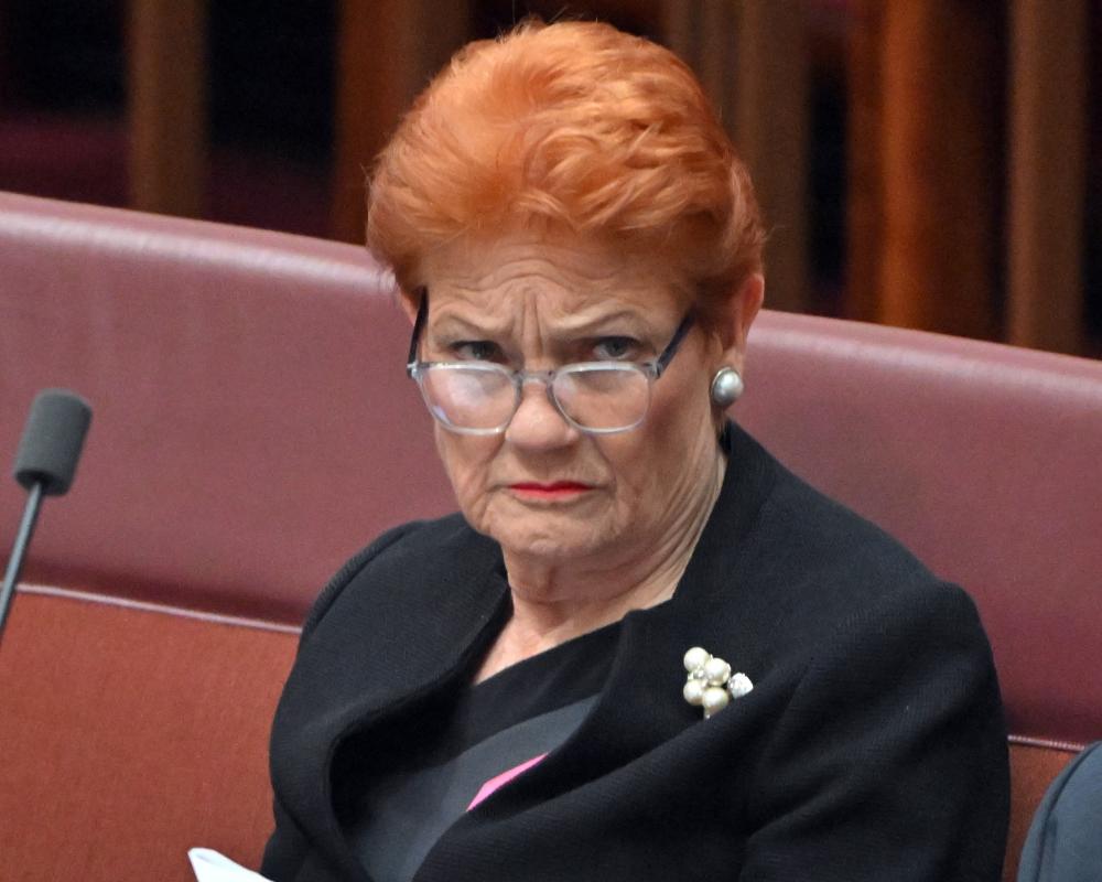 Australia Gun Buyback After Bondi: Hanson Opposition
