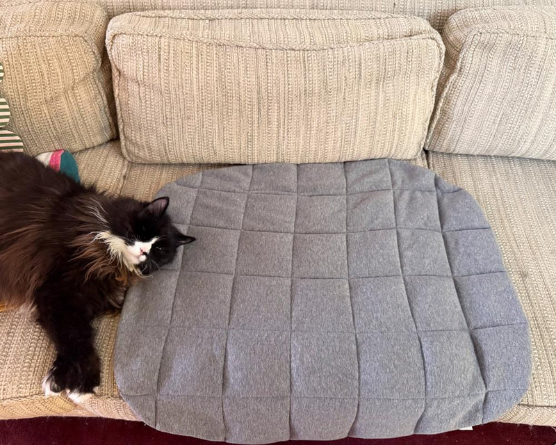 Bearaby Lounger Review: The Heated Weighted Blanket That Actually