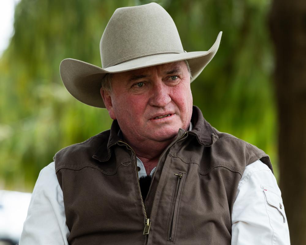 Barnaby Joyce Calls One Nation Gayest Party Amid Homophobic Comments
