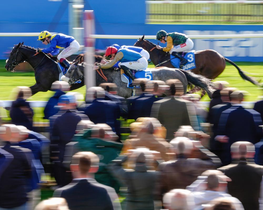 Andrew Balding Leads Flat Trainers' Championship Battle – Grand Goldman