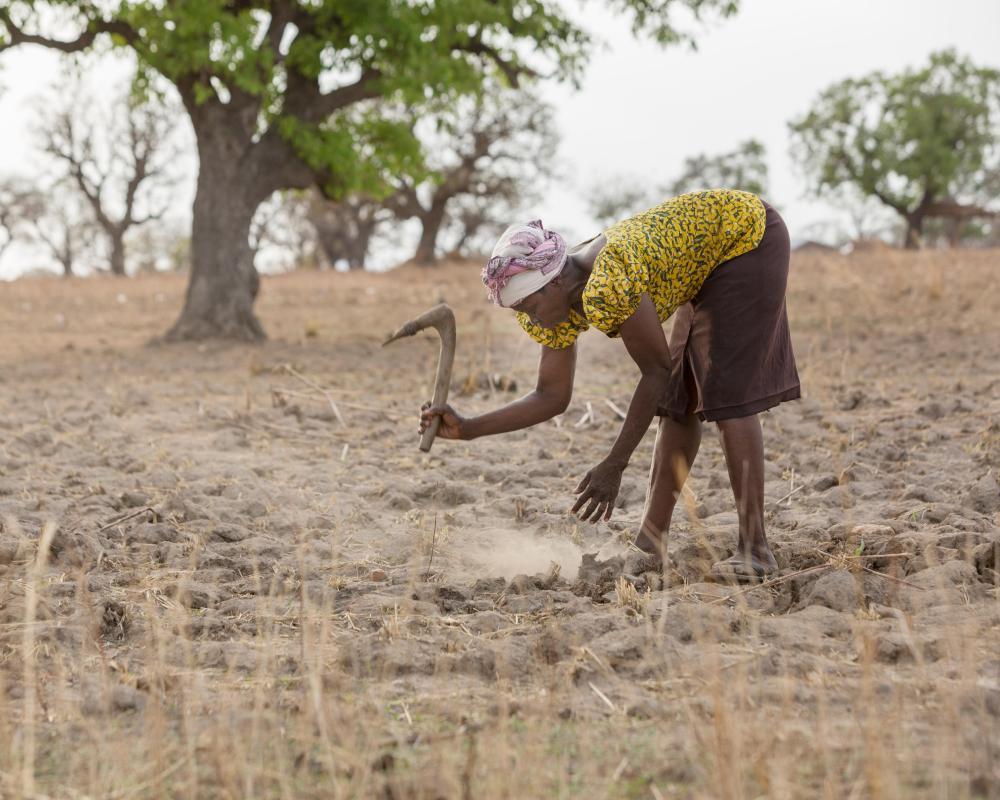 UN Desertification Summit: $12bn Fund for Drought and Land Restoration