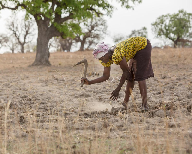 UN Desertification Summit: $12bn Fund for Drought and Land Restoration