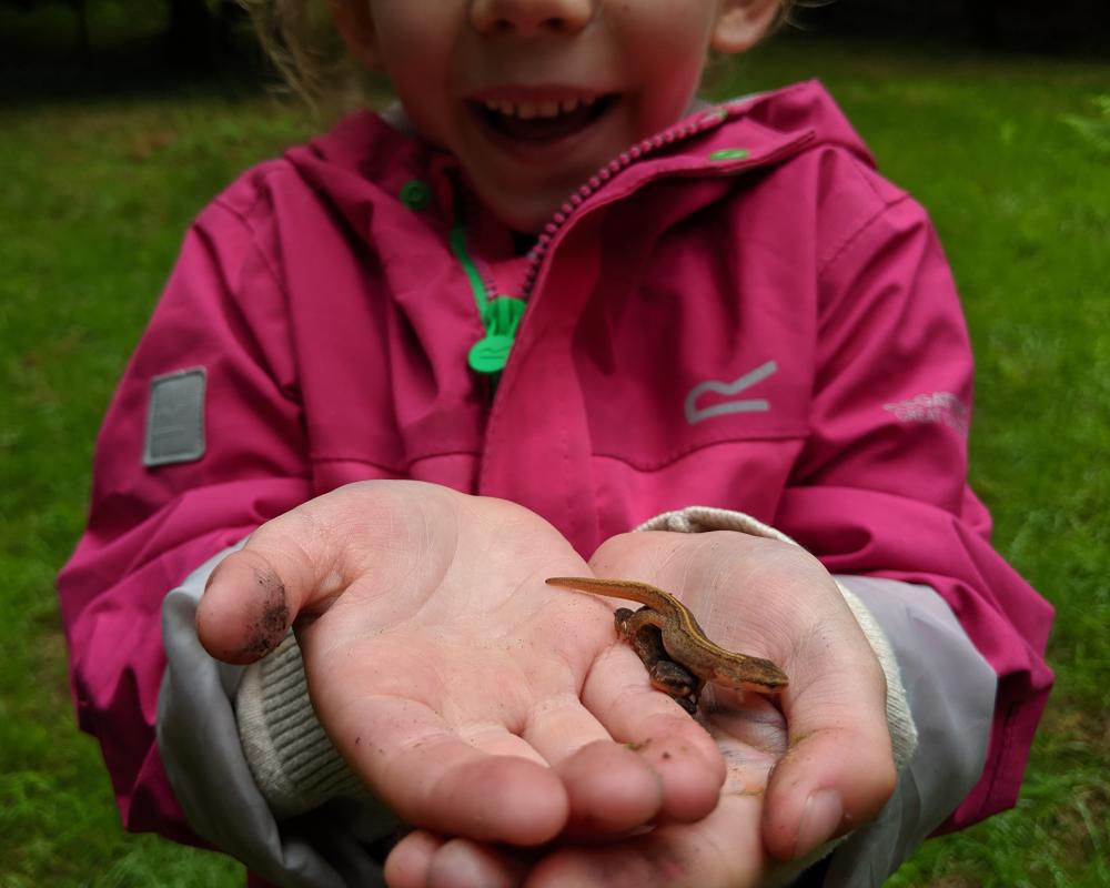 Young Nature Writers: Get Published in The Guardian Today