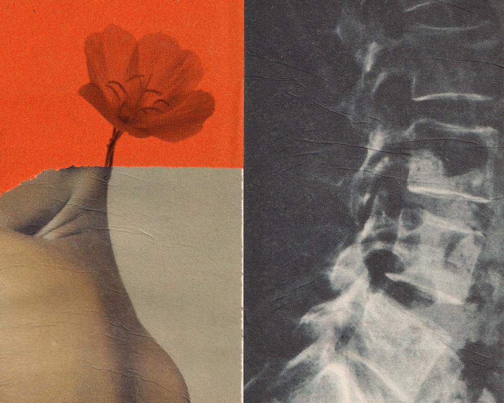 Rediscovering Pleasure After Trauma: A Journey to Sexual Healing