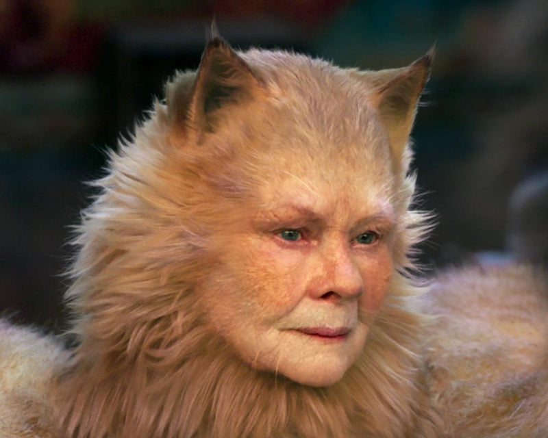 Judi Dench Calls Cats Film a Waste of Goodwill and Talent