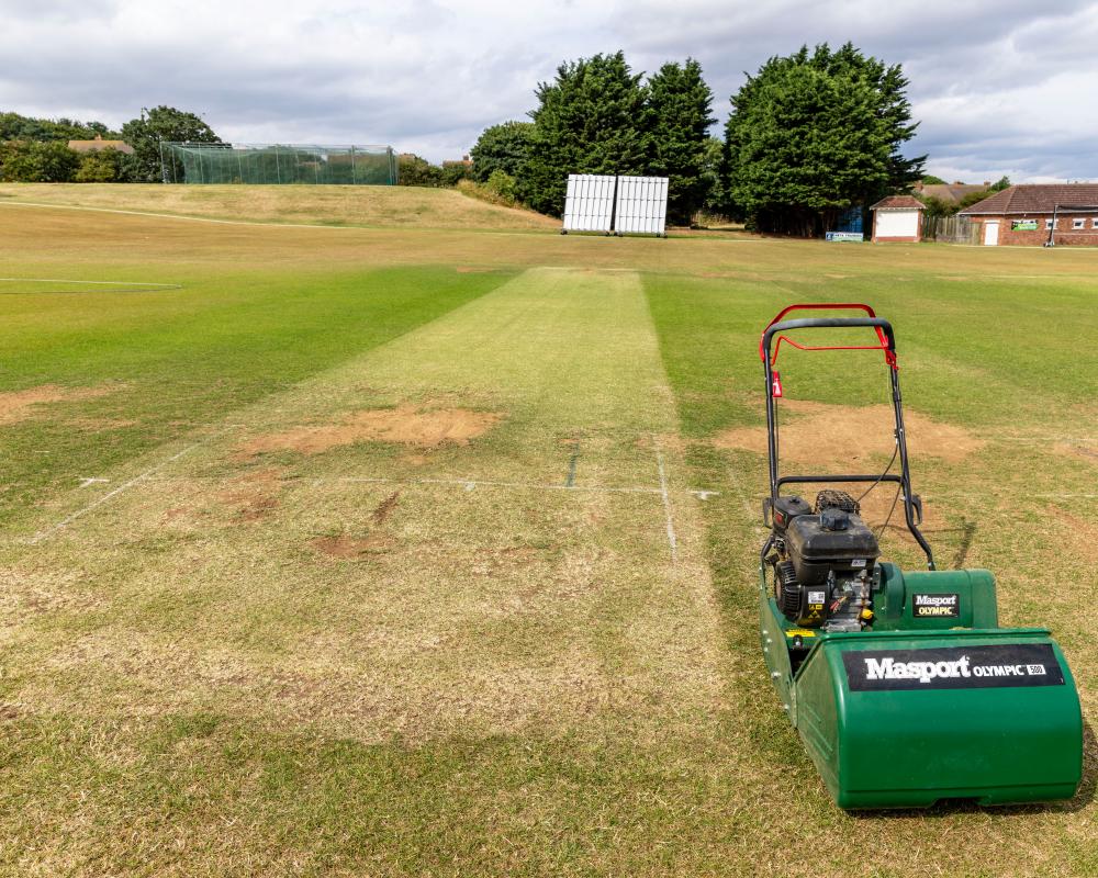 Amateur Cricket Livestreams: Viral Catches and New Era