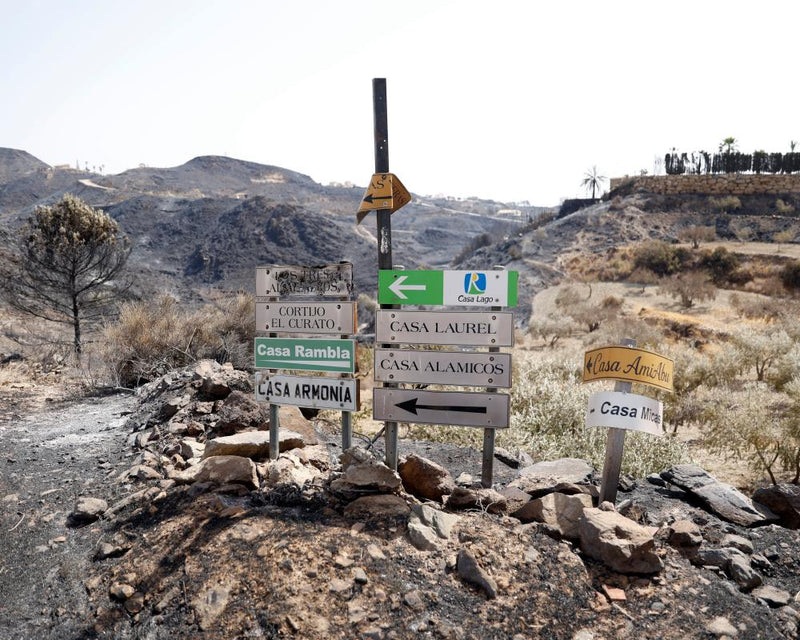 British Wildfire Victims' Bones Found in Burnt Car After Cremation