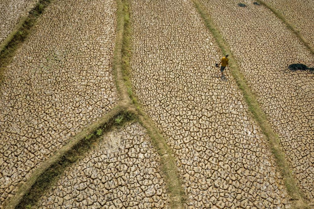 Asia Prepares for Supersized El Niño: Climate Adaptation Strategies