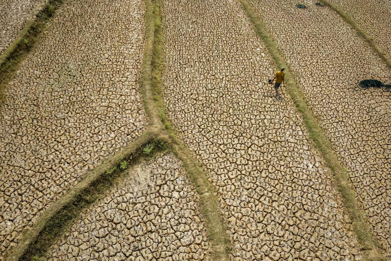 Asia Prepares for Supersized El Niño: Climate Adaptation Strategies