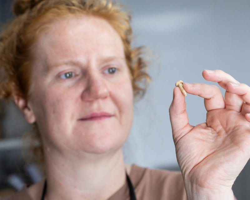 Rare Roman Finds in Bath Reveal Suburbanite Life
