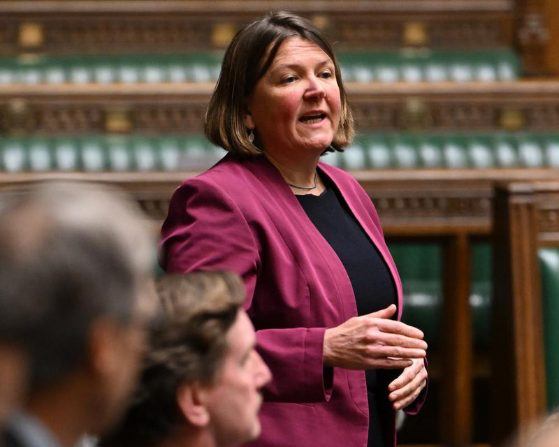 Green Party Faces Extremism Risk Amid Zionism Racism Vote